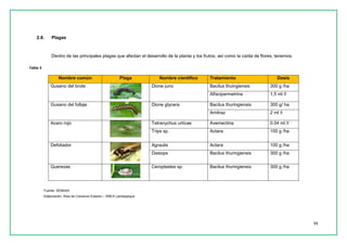11 
2.8. Plagas 
Dentro de las principales plagas que afectan el desarrollo de la planta y los frutos, así como la caída de flores, tenemos. 
Tabla 3 Nombre común Plaga Nombre científico Tratamiento Dosis 
Gusano del brote 
Dione juno 
Bacilus thuingiensis 
300 g /ha 
Alfacipermetrina 
1,5 ml /l 
Gusano del follaje 
Dione glycera 
Bacilus thuringiensis 
300 g/ ha 
Amitraz 
2 ml /l 
Acaro rojo 
Tetranychus urticae 
Avemectina 
0.04 ml /l 
Trips sp. 
Actara 
100 g /ha 
Defoliador 
Agraulis 
Actara 
100 g /ha 
Dasiops 
Bacilus thuringiensis 
300 g /ha 
Querezas 
Ceroplastes sp. 
Bacilus thuringiensis 
300 g /ha 
Fuente: SENASA 
Elaboración: Área de Comercio Exterior – AREX Lambayeque  