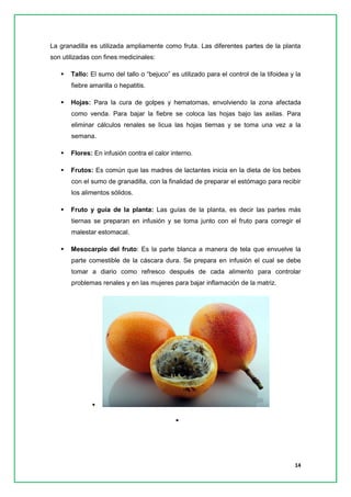 14 
La granadilla es utilizada ampliamente como fruta. Las diferentes partes de la planta son utilizadas con fines medicinales: 
 Tallo: El sumo del tallo o “bejuco” es utilizado para el control de la tifoidea y la fiebre amarilla o hepatitis. 
 Hojas: Para la cura de golpes y hematomas, envolviendo la zona afectada como venda. Para bajar la fiebre se coloca las hojas bajo las axilas. Para eliminar cálculos renales se licua las hojas tiernas y se toma una vez a la semana. 
 Flores: En infusión contra el calor interno. 
 Frutos: Es común que las madres de lactantes inicia en la dieta de los bebes con el sumo de granadilla, con la finalidad de preparar el estómago para recibir los alimentos sólidos. 
 Fruto y guía de la planta: Las guías de la planta, es decir las partes más tiernas se preparan en infusión y se toma junto con el fruto para corregir el malestar estomacal. 
 Mesocarpio del fruto: Es la parte blanca a manera de tela que envuelve la parte comestible de la cáscara dura. Se prepara en infusión el cual se debe tomar a diario como refresco después de cada alimento para controlar problemas renales y en las mujeres para bajar inflamación de la matriz. 
 
  