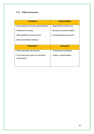 19 
2.13. FODA del Producto 
Fortalezas Oportunidades 
- Zonas aptas con factores agroecológicos. 
- Calidad de los suelos. 
- Disponibilidad de mano de obra. 
- Altas propiedades nutritivas. 
- Seguridad en el área rural. 
- Servicios de sanidad vegetal 
- Tecnología para el producto. Debilidades Amenazas 
- Posicionamiento del producto. 
- Poca oferta para cubrir una demanda internacional. 
- Fluctuaciones climáticas. 
- Plagas y enfermedades. 
 