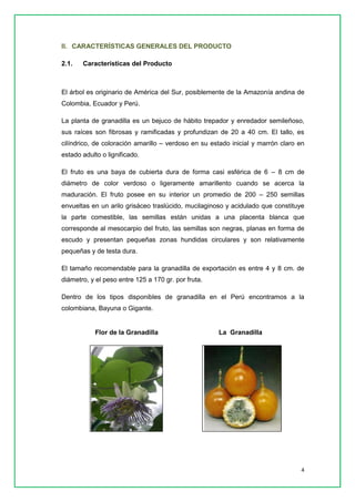 4 
II. CARACTERÍSTICAS GENERALES DEL PRODUCTO 
2.1. Características del Producto 
El árbol es originario de América del Sur, posiblemente de la Amazonía andina de Colombia, Ecuador y Perú. 
La planta de granadilla es un bejuco de hábito trepador y enredador semileñoso, sus raíces son fibrosas y ramificadas y profundizan de 20 a 40 cm. El tallo, es cilíndrico, de coloración amarillo – verdoso en su estado inicial y marrón claro en estado adulto o lignificado. 
El fruto es una baya de cubierta dura de forma casi esférica de 6 – 8 cm de diámetro de color verdoso o ligeramente amarillento cuando se acerca la maduración. El fruto posee en su interior un promedio de 200 – 250 semillas envueltas en un arilo grisáceo traslúcido, mucilaginoso y acidulado que constituye la parte comestible, las semillas están unidas a una placenta blanca que corresponde al mesocarpio del fruto, las semillas son negras, planas en forma de escudo y presentan pequeñas zonas hundidas circulares y son relativamente pequeñas y de testa dura. 
El tamaño recomendable para la granadilla de exportación es entre 4 y 8 cm. de diámetro, y el peso entre 125 a 170 gr. por fruta. 
Dentro de los tipos disponibles de granadilla en el Perú encontramos a la colombiana, Bayuna o Gigante. 
La Granadilla 
Flor de la Granadilla  