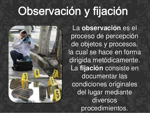 El perfil criminal desde el lugar de los hechos en el