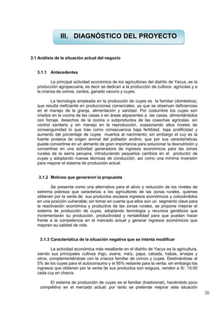 20
3.1 Análisis de la situación actual del negocio
3.1.1 Antecedentes
La principal actividad económica de los agricultores del distrito de Yacus, es la
producción agropecuaria, es decir se dedican a la producción de cultivos agrícolas y a
la crianza de ovinos, cerdos, ganado vacuno y cuyes.
La tecnología empleada en la producción de cuyes es la familiar (doméstica),
que resulta ineficiente en producciones comerciales, ya que se observan deficiencias
en el manejo de la granja, alimentación y sanidad. Por costumbre los cuyes son
criados en la cocina de las casas o en áreas adyacentes a las casas, alimentándolos
con forraje, desechos de la cocina o subproductos de las cosechas agrícolas, sin
control sanitario y sin manejo en la reproducción, ocasionando altos niveles de
consanguinidad lo que trae como consecuencia baja fertilidad, baja prolificidad y
aumento del porcentaje de cuyes muertos al nacimiento; sin embargo el cuy es la
fuente proteica de origen animal del poblador andino, que por sus características
puede convertirse en un alimento de gran importancia para solucionar la desnutrición y
convertirse en una actividad generadora de ingresos económicos para las zonas
rurales de la sierra peruana, introduciendo pequeños cambios en el productor de
cuyes y adoptando nuevas técnicas de conducción, así como una mínima inversión
para mejorar el sistema de producción actual.
3.1.2 Motivos que generaron la propuesta
Se presenta como una alternativa para el alivio y reducción de los niveles de
extrema pobreza que caracteriza a los agricultores de las zonas rurales, quienes
obtienen por la venta de sus productos escasos ingresos económicos y colocándolos
en una posición vulnerable; sin tomar en cuenta que ellos son un segmento clave para
la reactivación económica y productiva de las zonas rurales, se propone mejorar el
sistema de producción de cuyes, adoptando tecnología y recursos genéticos que
incrementarán su producción, productividad y rentabilidad para que puedan hacer
frente a la competencia en el mercado actual y generar ingresos económicos que
mejoren su calidad de vida.
3.1.3 Característica de la situación negativa que se intenta modificar
La actividad económica más resaltante en el distrito de Yacus es la agricultura,
siendo sus principales cultivos trigo, avena, maíz, papa, cebada, habas, arvejas y
otros, complementándose con la crianza familiar de ovinos y cuyes. Destinándose el
5% de los cuyes para el autoconsumo y el 95% restante para la venta; sin embargo los
ingresos que obtienen por la venta de sus productos son exiguos, venden a S/. 10.00
cada cuy en chacra.
El sistema de producción de cuyes es el familiar (tradicional), haciéndolo poco
competitivo en el mercado actual; por tanto se pretende mejorar esta situación
III. DIAGNÓSTICO DEL PROYECTO
 