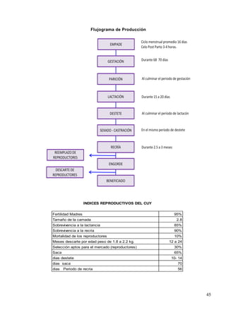 45
Flujograma de Producción
Fertilidad Madres 95%
Tamaño de la camada 2.8
Sobrevivencia a la lactancia 85%
Sobrevivencia a la recria 90%
Mortalidad de los reproductores 10%
Meses descarte por edad peso de 1.8 a 2.2 kg. 12 a 24
Selección aptos para el mercado (reproductores) 30%
Saca 65%
dias destete 10- 14
dias saca 70
dias Periodo de recria 56
INDICES REPRODUCTIVOS DEL CUY
 