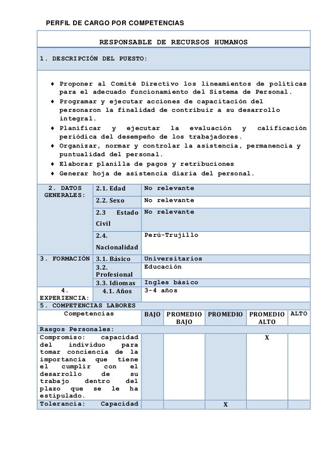 PERFIL DE CARGOS Y DEL POSTULANTE POR COMPETENCIAS