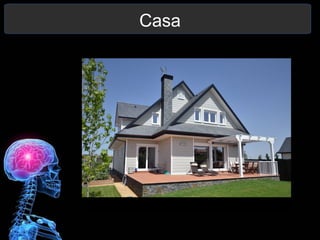 Casa
 
