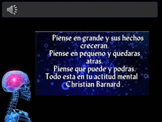 Perfil del consumidor