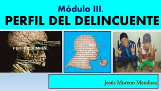 Perfil del fraude | PPT