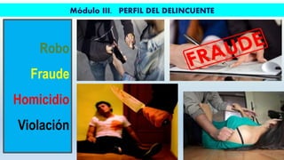 Perfil del fraude | PPT