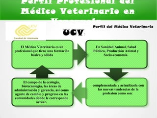 Perfil del medico veterinario | PPT