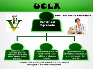 Perfil del medico veterinario | PPT