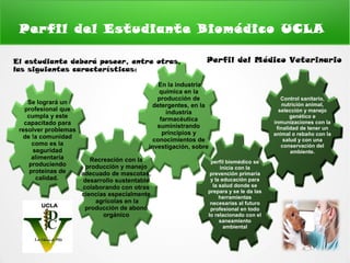 Perfil del medico veterinario | PPT