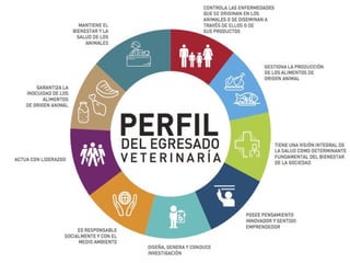 Perfil del medico veterinario | PPT
