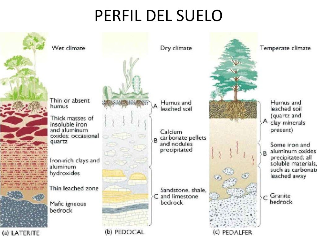 Perfil del suelo 2014