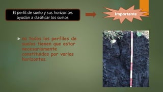  no todos los perfiles de
suelos tienen que estar
necesariamente
constituidos por varios
horizontes.
El perfil de suelo y sus horizontes
ayudan a clasificar los suelos
Importante
 