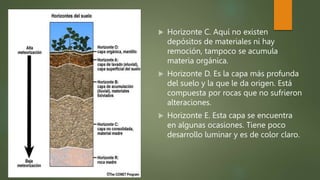  Horizonte C. Aquí no existen
depósitos de materiales ni hay
remoción, tampoco se acumula
materia orgánica.
 Horizonte D. Es la capa más profunda
del suelo y la que le da origen. Está
compuesta por rocas que no sufrieron
alteraciones.
 Horizonte E. Esta capa se encuentra
en algunas ocasiones. Tiene poco
desarrollo luminar y es de color claro.
 