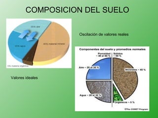 COMPOSICION DEL SUELO Valores ideales Oscilación de valores reales 