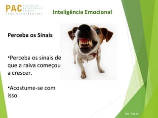 P ro g ra m a d e
A p r im o ra m e n t o
C o n t ín u oPACU S BN I Ã O U D E S T E R A S I L E I R A
PAC – Pág. 29
Inteligência Emocional
Perceba os Sinais
•Perceba os sinais de
que a raiva começou
a crescer.
•Acostume-se com
isso.
 