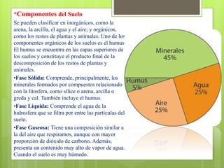 *Componentes del Suelo
Se pueden clasificar en inorgánicos, como la
arena, la arcilla, el agua y el aire; y orgánicos,
como los restos de plantas y animales. Uno de los
componentes orgánicos de los suelos es el humus.
El humus se encuentra en las capas superiores de
los suelos y constituye el producto final de la
descomposición de los restos de plantas y
animales.
•Fase Sólida: Comprende, principalmente, los
minerales formados por compuestos relacionado
con la litosfera, como sílice o arena, arcilla o
greda y cal. También incluye el humus.
•Fase Líquida: Comprende el agua de la
hidrosfera que se filtra por entre las partículas del
suelo.
•Fase Gaseosa: Tiene una composición similar a
la del aire que respiramos, aunque con mayor
proporción de dióxido de carbono. Además,
presenta un contenido muy alto de vapor de agua.
Cuando el suelo es muy húmedo.
 