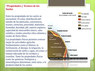 *Propiedades y Textura de los
Suelos
Entre las propiedades de los suelos se
encuentran: El color, distribución del
tamaño de las partículas, consistencia,
textura, estructura, porosidad, atmósfera,
humedad, densidad, pH, materia orgánica,
capacidad de intercambio iónico, sales
solubles y óxidos amorfos-sílice alúmina y
óxidos de fierro libres.
Las propiedades físicas permiten conocer
mejor las actividades agrícolas
fundamentales como el laboreo, la
fertilización, el drenaje, la irrigación, la
conservación de suelos y agua, así como, el
manejo adecuado de los residuos y
cosechas. Tanto las propiedades físicas
como las químicas, biológicas y
mineralógicas determinan, entre otras, a la
productividad de los suelos.
 