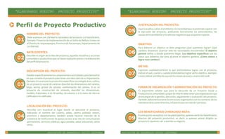 Perfil de un proyecto | PDF