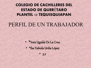 COLEGIO DE CACHILLERES DEL
ESTADO DE QUERÉTARO
PLANTEL 12 TEQUISQUIAPAN
PERFIL DE UN TRABAJADOR
• *Irais Ugalde De La Cruz
• *Ilse Fabiola Uribe López
• 3.2
 