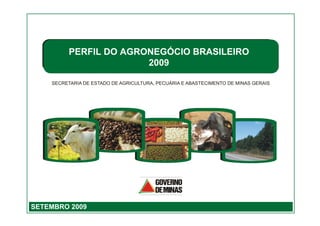 PERFIL DO AGRONEGÓCIO BRASILEIRO
                      2009




                                           1

SETEMBRO 2009
 