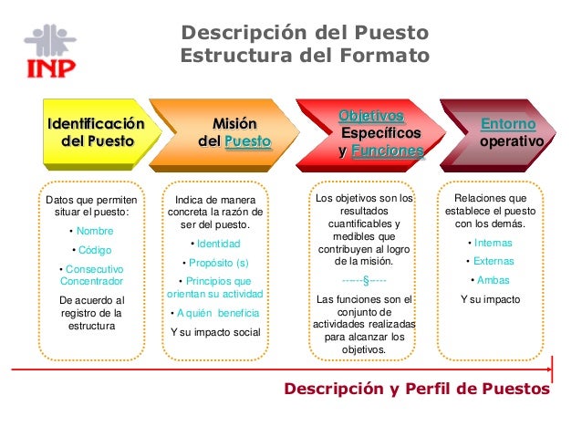 Perfiles de puestos