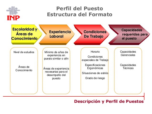 Perfiles de puestos