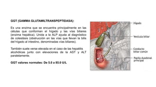 GGT (GAMMA GLUTAMILTRANSPEPTIDASA):
Es una enzima que se encuentra principalmente en las
células que conforman el hígado y las vías biliares
(enzima hepática). Unida a la ALP ayuda al diagnóstico
de colestásis (obstrucción en las vías que llevan la bilis
del hígado al intestino, denominadas vías biliares).
También suele verse elevada en el caso de las hepatitis
alcohólicas junto con elevaciones de la AST y ALT
paralelamente.
GGT valores normales: De 5.0 a 85.0 U/L
 