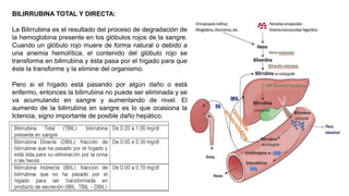 BILIRRUBINA TOTAL Y DIRECTA:
La Bilirrubina es el resultado del proceso de degradación de
la hemoglobina presente en los glóbulos rojos de la sangre.
Cuando un glóbulo rojo muere de forma natural o debido a
una anemia hemolítica, el contenido del glóbulo rojo se
transforma en bilirrubina y ésta pasa por el hígado para que
éste la transforme y la elimine del organismo.
Pero si el hígado está pasando por algún daño o está
enfermo, entonces la bilirrubina no puede ser eliminada y se
va acumulando en sangre y aumentando de nivel. El
aumento de la bilirrubina en sangre es lo que ocasiona la
Ictericia, signo importante de posible daño hepático.
 