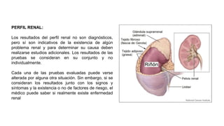 PERFIL RENAL:
Los resultados del perfil renal no son diagnósticos,
pero sí son indicativos de la existencia de algún
problema renal y para determinar su causa deben
realizarse estudios adicionales. Los resultados de las
pruebas se consideran en su conjunto y no
individualmente.
Cada una de las pruebas evaluadas puede verse
alterada por alguna otra situación. Sin embargo, si se
consideran los resultados junto con los signos y
síntomas y la existencia o no de factores de riesgo, el
médico puede saber si realmente existe enfermedad
renal
 