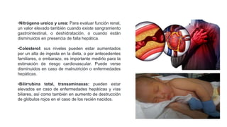 •Nitrógeno ureico y urea: Para evaluar función renal,
un valor elevado también cuando existe sangramiento
gastrointestinal, o deshidratación, o cuando están
disminuidos en presencia de falla hepática.
•Colesterol: sus niveles pueden estar aumentados
por un alta de ingesta en la dieta, o por antecedentes
familiares, o embarazo, es importante medirlo para la
estimación de riesgo cardiovascular. Puede verse
disminuidos en caso de malnutrición o enfermedades
hepáticas.
•Bilirrubina total, transaminasas: pueden estar
elevados en caso de enfermedades hepáticas y vías
biliares, así como también en aumento de destrucción
de glóbulos rojos en el caso de los recién nacidos.
 