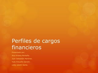 Perfiles de cargos
financieros
Presentado por:
Ana Viviana Montaña.
Juan Sebastián Martínez.
Yudy Ensueño Garzón.
Leidy Julieth Santa.
 