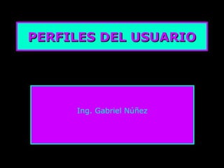 PERFILES DEL USUARIOPERFILES DEL USUARIO
Ing. Gabriel Núñez
 