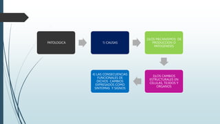 PATOLOGICA 1) CAUSAS
2)LOS MECANISMOS DE
PRODUCCION O
PATOGENESIS
3)LOS CAMBIOS
ESTRUCTURALES EN
CELULAS, TEJIDOS Y
ORGANOS
4) LAS CONSECUENCIAS
FUNCIONALES DE
DICHOS CAMBIOS
EXPRESADOS COMO
SINTOMAS Y SIGNOS
 