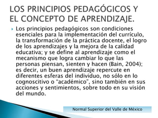  Los principios pedagógicos son condiciones
esenciales para la implementación del currículo,
la transformación de la práctica docente, el logro
de los aprendizajes y la mejora de la calidad
educativa; y se define al aprendizaje como el
mecanismo que logra cambiar lo que las
personas piensan, sienten y hacen (Bain, 2004);
es decir, un buen aprendizaje repercute en
diferentes esferas del individuo, no sólo en lo
cognoscitivo o “académico”, sino también en sus
acciones y sentimientos, sobre todo en su visión
del mundo.
Normal Superior del Valle de México
 