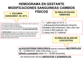 > VOLUMEN
SANGUINEO 40- 45 %
GLÓBULOS BLANCOS
LEUCOCITOS
1.- > glob rojos en 33 % x
↑ eritropoyesis/hemodilusión (Anemia
fisiológica del embarazo). 2do a 6to mes
2.-Inicio 4,500 millones /g.r
3.-sexto mes 3,7 millones
HEMOGRAMA EN GESTANTE
MODIFICACIONES SANGUINEAS CAMBIOS
FÍSICOS
a)LEUCOCITOSIS FISIOLÓGICA embarazo: c/predominio NEUTRÓFILOS
10 – 12,000/mm3 (2do a 6to mes). (Monocitos)
b)Parto y puerperio hasta 15 – 18,000 leucocitos.
GLOBULOS ROJOS
HEMATIES
1.-Aumento del volumen sanguíneo en un 40%-45%; 2,600 cc hasta 32 ss
2.-Con ganancia absoluta de plasma,
3.-> de volumen celular y de hemoglobina
El incremento de estos dos últimos elementos ocurre a menor velocidad
que el del plasma por lo que se origina una OLIGOCITEMIA RELATIVA.
4.-HIPERVOLEMIA inducida por el embarazo es necesaria para cubrir las
demandas del útero gravídico, para proteger a la madre y al feto de los
efectos deletéreos de la disminución del retorno en posición supina y
erecta y para evitar que la madre padezca los efectos adversos de la
pérdida de sangre durante el parto .
con disminución de los LINFOCITOS Y EOSINÓFILOS
 