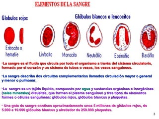 •La sangre es el fluido que circula por todo el organismo a través del sistema circulatorio,La sangre es el fluido que circula por todo el organismo a través del sistema circulatorio,
formado por el corazón y un sistema de tubos o vasos, los vasos sanguíneos.formado por el corazón y un sistema de tubos o vasos, los vasos sanguíneos.
•La sangre describe dos circuitos complementarios llamados circulación mayor o generalLa sangre describe dos circuitos complementarios llamados circulación mayor o general
y menor o pulmonar.y menor o pulmonar.
•La sangre es un tejido líquido, compuesto porLa sangre es un tejido líquido, compuesto por aguaagua y sustancias orgánicas e inorgánicasy sustancias orgánicas e inorgánicas
((sales mineralessales minerales) disueltas, que forman el plasma sanguíneo y tres tipos de elementos) disueltas, que forman el plasma sanguíneo y tres tipos de elementos
formes o células sanguíneas: glóbulos rojos, glóbulos blancos y plaquetasformes o células sanguíneas: glóbulos rojos, glóbulos blancos y plaquetas..
• Una gota de sangre contiene aproximadamente unos 5 millones de glóbulos rojos, deUna gota de sangre contiene aproximadamente unos 5 millones de glóbulos rojos, de
5.000 a 10.000 glóbulos blancos y alrededor de 250.000 plaquetas.5.000 a 10.000 glóbulos blancos y alrededor de 250.000 plaquetas.
3
 