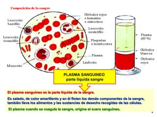 4
El plasma sanguíneo es la parte líquida de la sangre.El plasma sanguíneo es la parte líquida de la sangre.
Es salado, de color amarillento y en él flotan los demás componentes de la sangre,Es salado, de color amarillento y en él flotan los demás componentes de la sangre,
también lleva los alimentos y las sustancias de desecho recogidas de las células.también lleva los alimentos y las sustancias de desecho recogidas de las células.
El plasma cuando se coagula la sangre, origina el suero sanguíneo.El plasma cuando se coagula la sangre, origina el suero sanguíneo.
PLASMA SANGUINEO
parte líquida sangre
 
