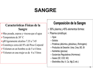 SANGRE
5
 