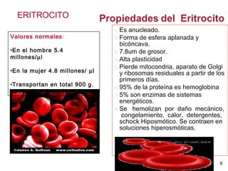 ERITROCITO
Valores normales:
•En el hombre 5.4
millones/µl
•En la mujer 4.8 millones/ µl
•Transportan en total 900 g.
de Hb. De 12 a 16 g/100ml.
8
1. Es anucleado.
2. Forma de esfera aplanada y
bicóncava.
3. 7.8um de grosor.
4. Alta plasticidad
5. Pierde mitocondria, aparato de Golgi
y ribosomas residuales a partir de los
primeros días.
6. 95% de la proteína es hemoglobina
7. 5% son enzimas de sistemas
energéticos.
8. Se hemolizan por daño mecánico,
congelamiento, calor, detergentes,
schock Hiposmótico. Se contraen en
soluciones hiperosmóticas.
 