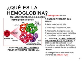 ¿QUÉ ES LA
HEMOGLOBINA?La hemoglobina es una
1.-HETEROPROTEÍNA de la
sangre,
2.-Peso molecular 68.000,
3.-Color rojo característico, que
4.-Transporta el oxígeno desde los
órganos respiratorios hasta los tejidos,
en mamíferos y otros animales.
5.- La forman CUATRO CADENAS
POLIPEPTÍDICAS (GLOBINA) a
cada una de las cuales se une un
grupo hemo, cuyo átomo de hierro es
capaz de unirse de forma reversible al
oxígeno.
La hemoglobina se encuentra en el
interior de los glóbulos rojos.
La forman CUATRO CADENAS
POLIPEPTÍDICAS (GLOBINA)
HETEROPROTEÍNA de la sangre
interior
9
 