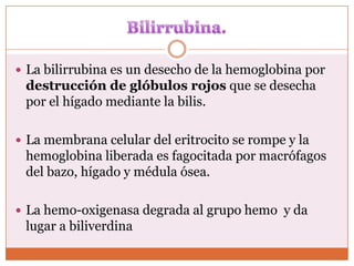  La bilirrubina es un desecho de la hemoglobina por
 destrucción de glóbulos rojos que se desecha
 por el hígado mediante la bilis.

 La membrana celular del eritrocito se rompe y la
 hemoglobina liberada es fagocitada por macrófagos
 del bazo, hígado y médula ósea.

 La hemo-oxigenasa degrada al grupo hemo y da
 lugar a biliverdina
 