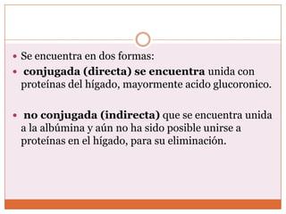  Se encuentra en dos formas:
 conjugada (directa) se encuentra unida con
 proteínas del hígado, mayormente acido glucoronico.

 no conjugada (indirecta) que se encuentra unida
 a la albúmina y aún no ha sido posible unirse a
 proteínas en el hígado, para su eliminación.
 
