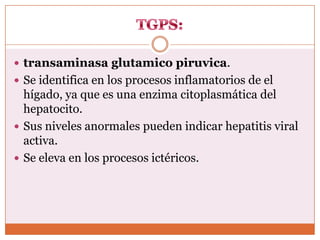 transaminasa glutamico piruvica.
 Se identifica en los procesos inflamatorios de el
  hígado, ya que es una enzima citoplasmática del
  hepatocito.
 Sus niveles anormales pueden indicar hepatitis viral
  activa.
 Se eleva en los procesos ictéricos.
 