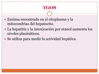 Enzima encontrada en el citoplasma y la
  mitocondrias del hepatocito.
 La hepatitis y la intoxicación por etanol aumenta los
  niveles plasmáticos.
 Se utiliza para medir la actividad hepática.
 