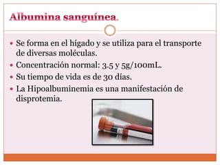 .

 Se forma en el hígado y se utiliza para el transporte
  de diversas moléculas.
 Concentración normal: 3.5 y 5g/100mL.
 Su tiempo de vida es de 30 días.
 La Hipoalbuminemia es una manifestación de
  disprotemia.
 