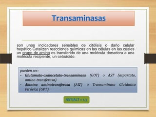 Transaminasas
son unos indicadores sensibles de citólisis o daño celular
hepático.Catalizan reacciones químicas en las células en las cuales
un grupo de amino es transferido de una molécula donadora a una
molécula recipiente, un cetoácido.
(GOT) o AST (aspartato,
o Transaminasa Glutámico
pueden ser:
- Glutamato-oxalacetato-transaminasa
amino-transferasa).
- Alanina aminotransferasa (AL
T)
Pirúvica (GPT).
AST/ALT = 1.3
 