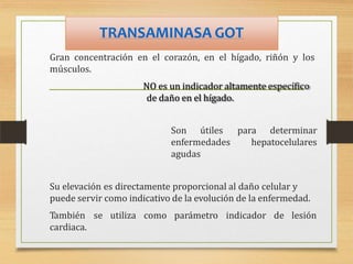 TRANSAMINASA GOT
Gran concentración en el corazón, en el hígado, riñón y los
músculos.
NO es un indicador altamente específico
de daño en el hígado.
para determinar
hepatocelulares
Son útiles
enfermedades
agudas
Su elevación es directamente proporcional al daño celular y
puede servir como indicativo de la evolución de la enfermedad.
También se utiliza como parámetro indicador de lesión
cardiaca.
 