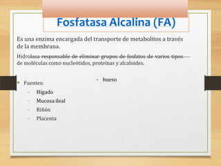 Fosfatasa Alcalina (FA)
Es una enzima encargada del transporte de metabolitos a través
de la membrana.
Hidrolasa responsable de eliminar grupos de fosfatos de varios tipos
de moléculas como nucleótidos, proteínas y alcaloides.
 Fuentes:
- hueso
- Hígado
- Mucosa ileal
- Riñón
- Placenta
 
